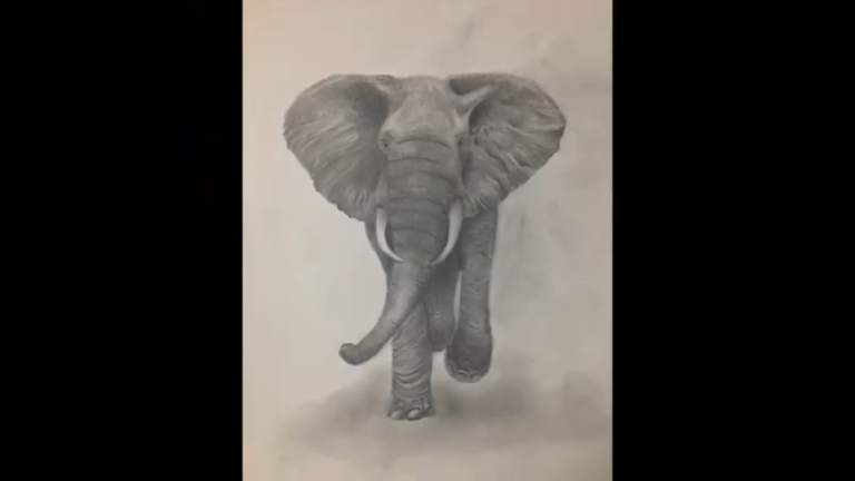 How To Draw A Realistic Elephant Step By Step