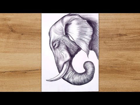 How to Draw a Realistic Elephant Head for Beginners | Animals Drawing