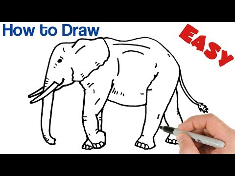 How to Draw an Elephant Easy | Animals Drawings for beginners | Art Tutorial