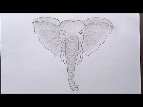 How to draw elephant face || elephant face drawing