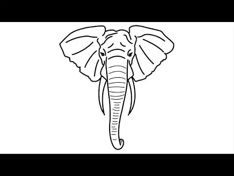 Big Elephant Head Face Draw | Drawing of Elephant | How To Draw Animals