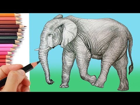 how to draw an elephant step by step | How to do pencil shading Easy Play Doh