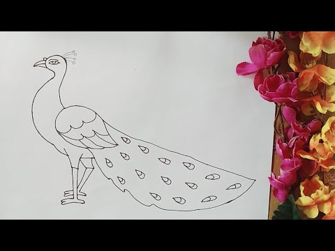 How to draw a Peacock step by step || Part- 1