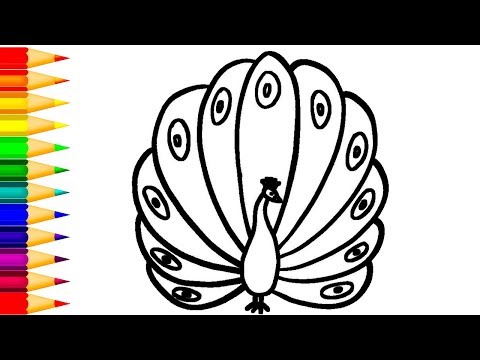 Simple Colorful Peacock Drawing with Colour Easy Drawings for Kids