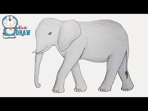 How to draw elephant step by step