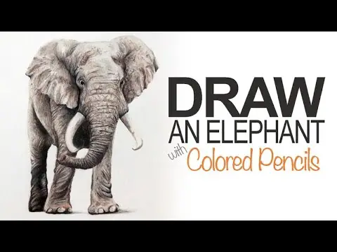 How to Draw an Elephant - Colored Pencils