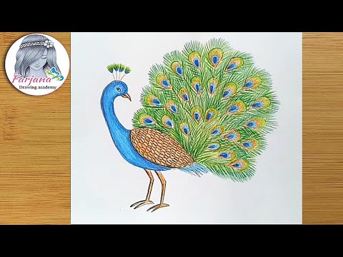 How to draw a Peacock step by step