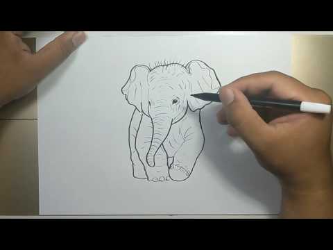 How to draw BABY ELEPHANT in 5 minutes