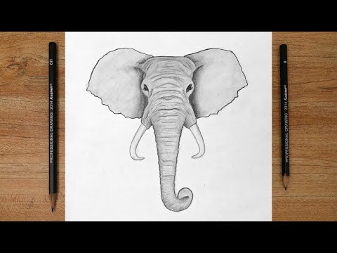 How to draw an ELEPHANT easy step by step for beginners