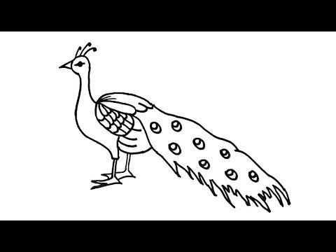 How to draw a Peacock | How to draw birds Drawing | Easy step by Step Drawing for kids
