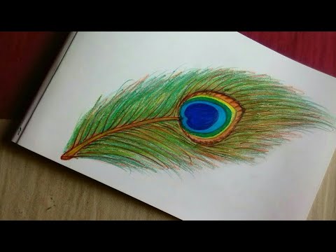 How to draw beautiful peacock feather