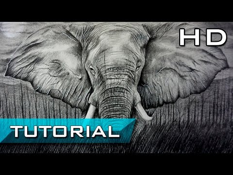 How to Draw an Elephant with Pencil Step by Step for Beginners - Tutorial