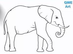 Elephant drawing from the side