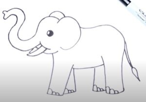 How to draw an easy elephant