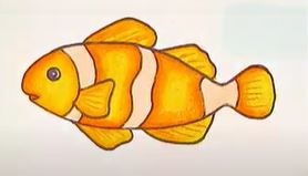 Draw an Easy Fish in Color