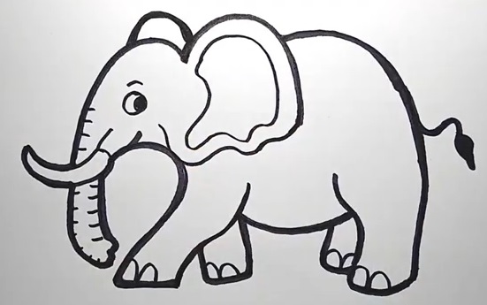 How to Draw an Elephant Step-by-Step (9 Ways)