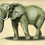 21 Pictures of Elephant Drawings