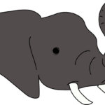Elephant Head Drawings