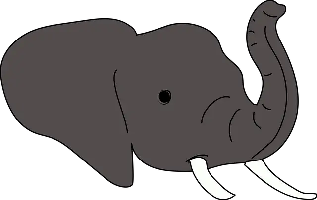 Easy elephant head drawing