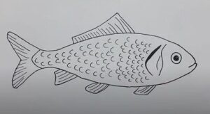 How to draw a fish easy