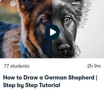 How to draw a German Shepherd class