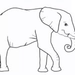 How to Draw an Elephant Step-by-Step (9 Ways)