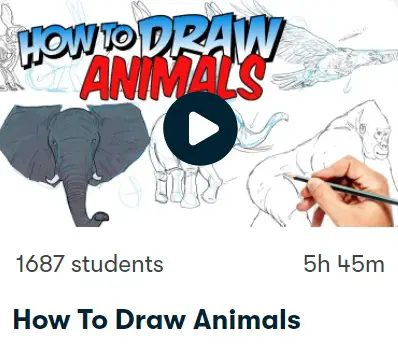 How to draw animals class
