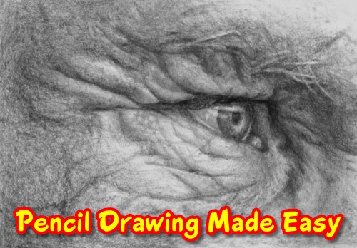 How to draw an eye in pencil realistic
