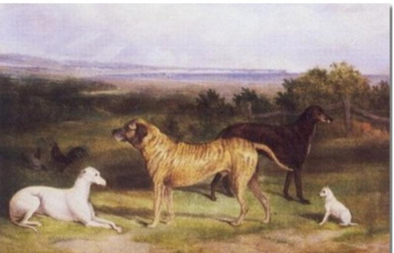 Four dogs painting