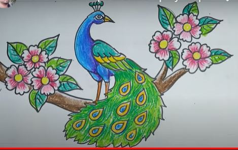 Peacock drawing in color sitting on a branch
