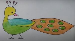 very basic simple peacock drawing with color