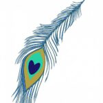 Peacock feather in blue and green color