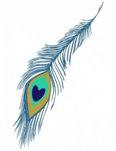 Peacock feather in blue and green color