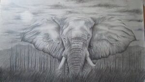 Realistic elephant face drawing
