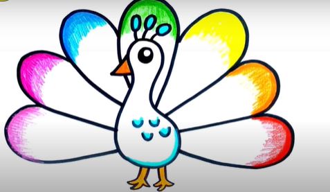Easy Peacock Drawing Coloring Page - Get Coloring Pages