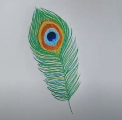 How to Draw a Peacock Feather Easy - Step by Step for Beginners